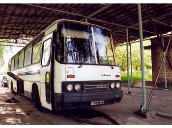 IKARUS 250.59 - Turistbuss