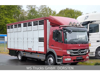 Mercedes-Benz Atego 1329  4x2  KA-BA Viehtransporter Großvieh  - Övrig maskin: bild 1