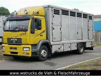 Djurtransport lastbil MAN 15.220 Menke Einstock: bild 1