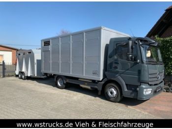 Djurtransport lastbil för transportering djur Mercedes-Benz 821L" Neu" WST Edition" Menke Einstock Vollalu: bild 1