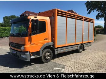 Djurtransport lastbil för transportering djur Mercedes-Benz 822 L  mit Eckstein Einstock: bild 1