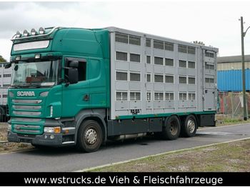 Djurtransport lastbil Scania R 440 Topline KABA 4 Stock Hubdach: bild 1