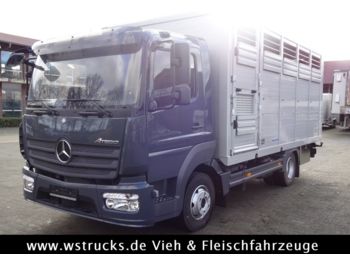 Volymskåp för transportering djur Mercedes-Benz 821L" Neu" WST Edition" Menke Einstock Vollalu: bild 1